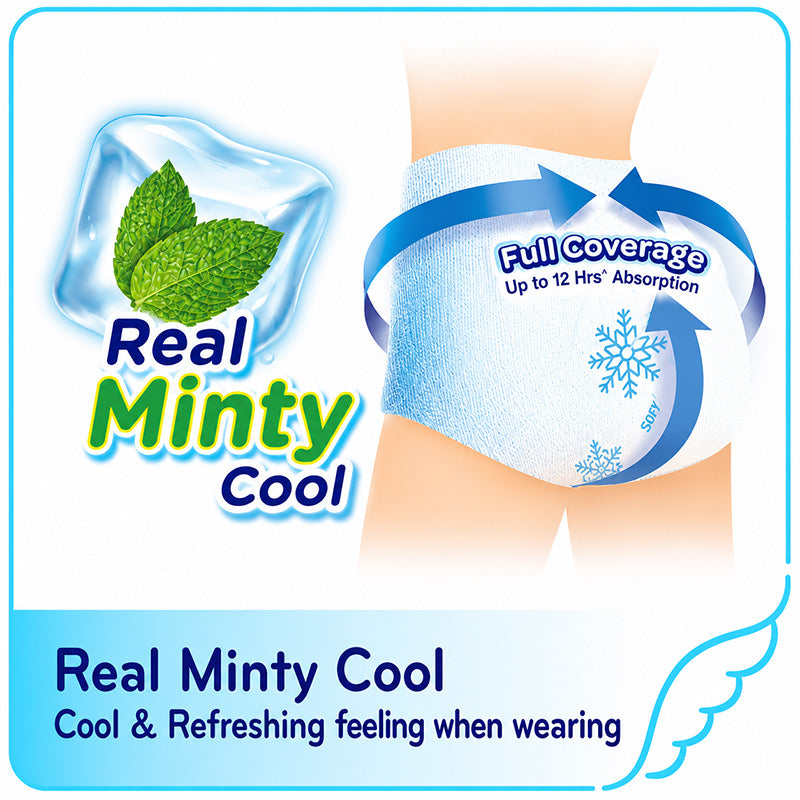 SOFY	Comfort Nite Cool 360 Panty Mint Cooling Overnight Period Underwear Size L- XL*2